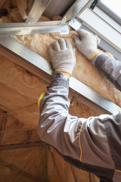 Best Types of Insulation in Amite City, LA