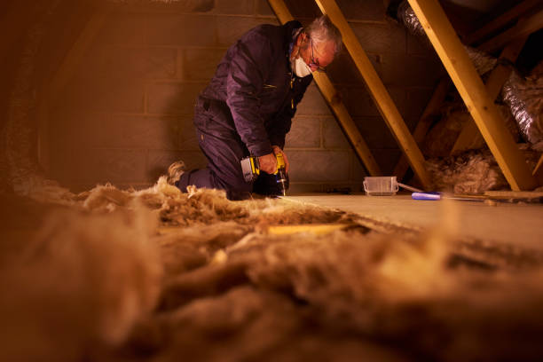 Best Insulation Installation Services in Amite City, LA